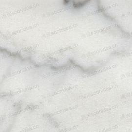 Calaeatta White