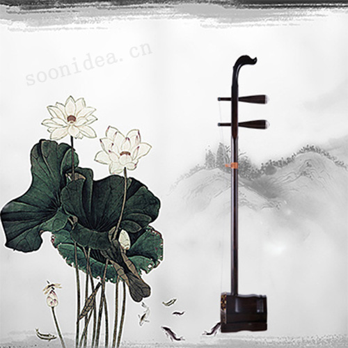 Ethnic musical instruments