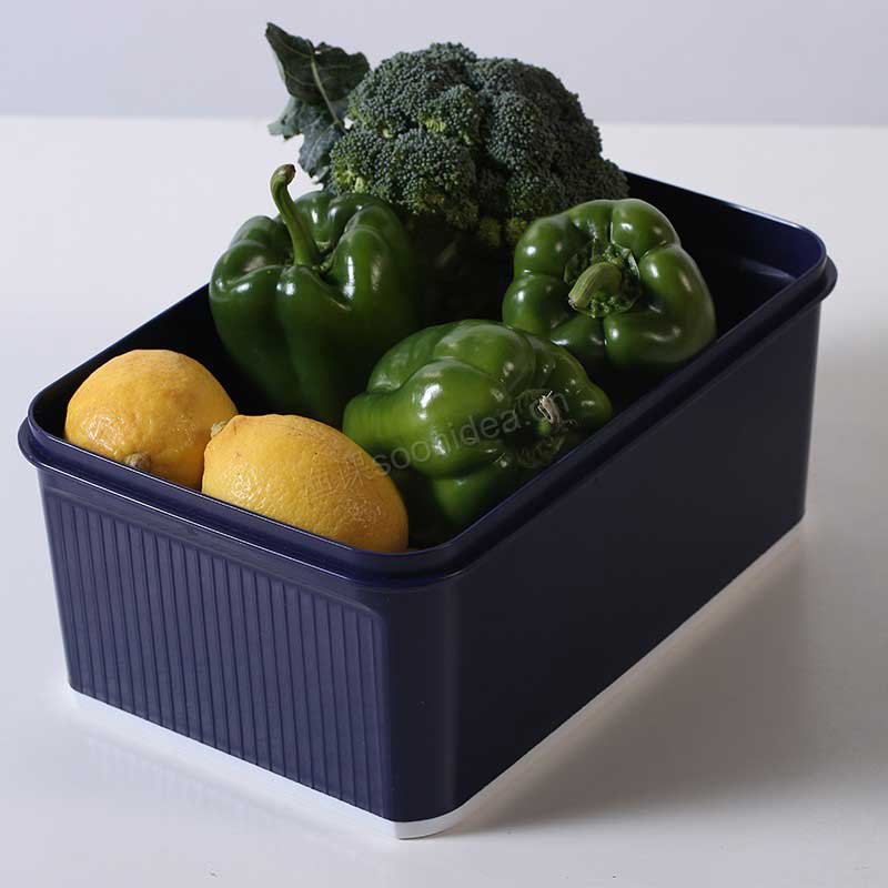 4000ML Big Capacity Household PP Material Storage Beans Rice Fruit Containers