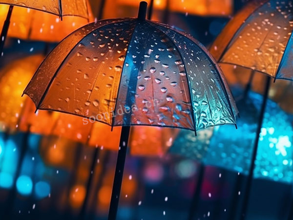 Own a high-quality umbrella
