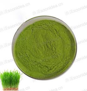 Organic Wheatgrass Powder