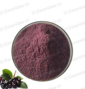 Elderberry Extract