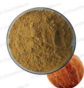 Zea Mays Corn Silk Extract