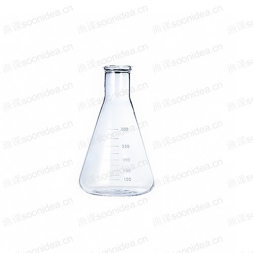 Conical flask