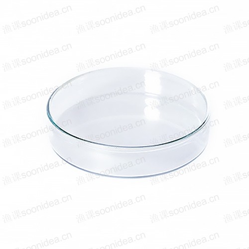 Evaporating dish