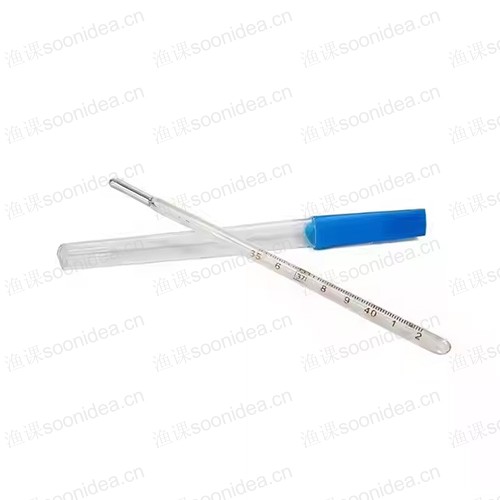 Mercury thermometer