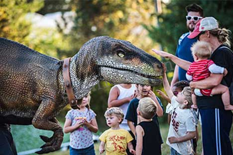 Dinosaur Puppets