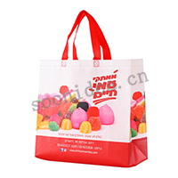 Non woven eco-friendly bag