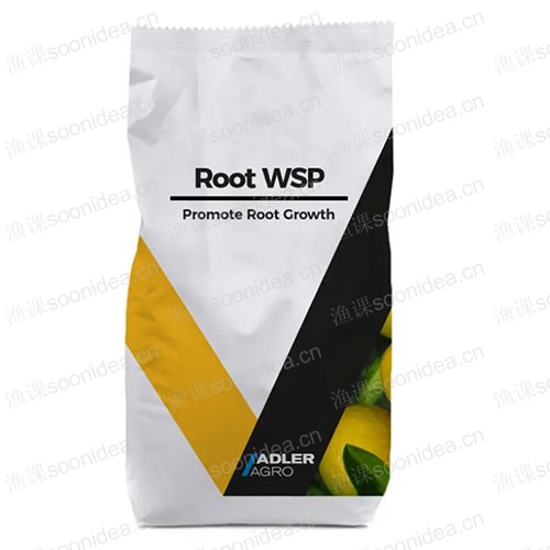 Organic Rice Agricultural Foliar Fertilizer for Mango Liquid Hydroponic Nutrients Fertilizer High Quality