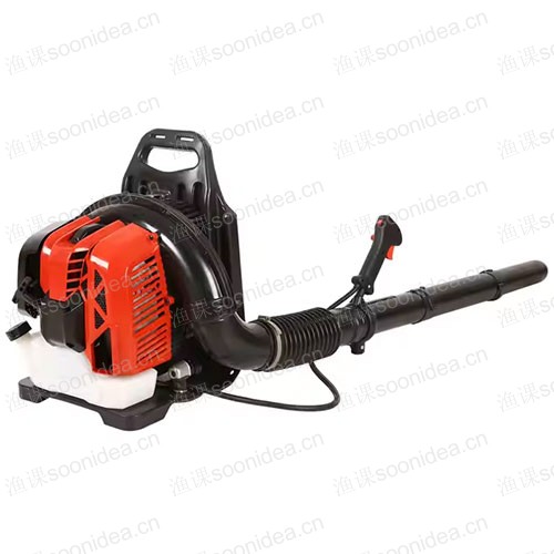 Professional blower