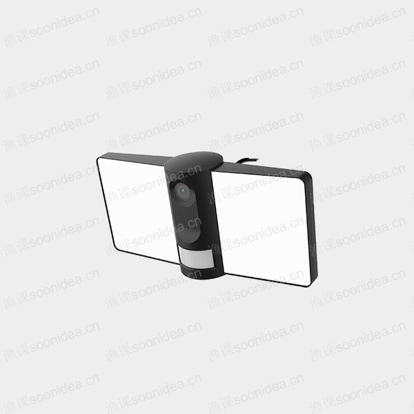 Electronic camera