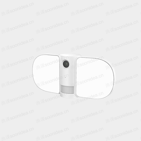 Electronic camera