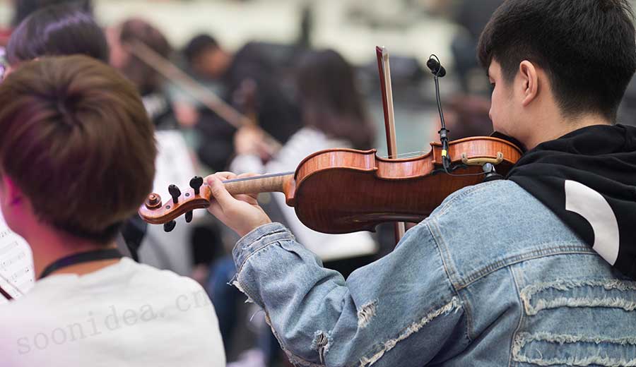 Violin