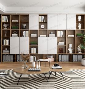 STUDY ROOM CABINET