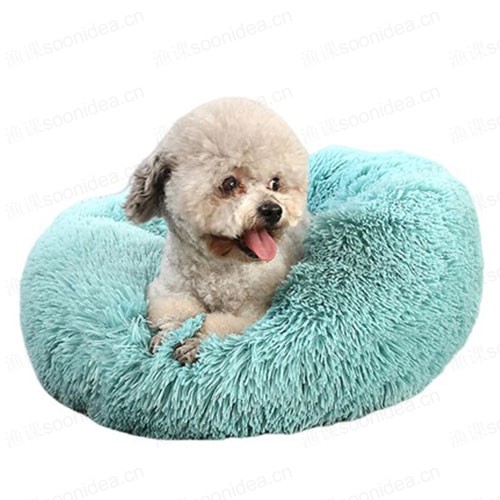 Various pet products